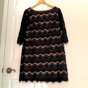 Absolutely STUNNING Eliza J Lace Dress!!!!!